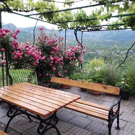 Holiday Home Carevic Gornja Brela Dış mekan fotoğraf