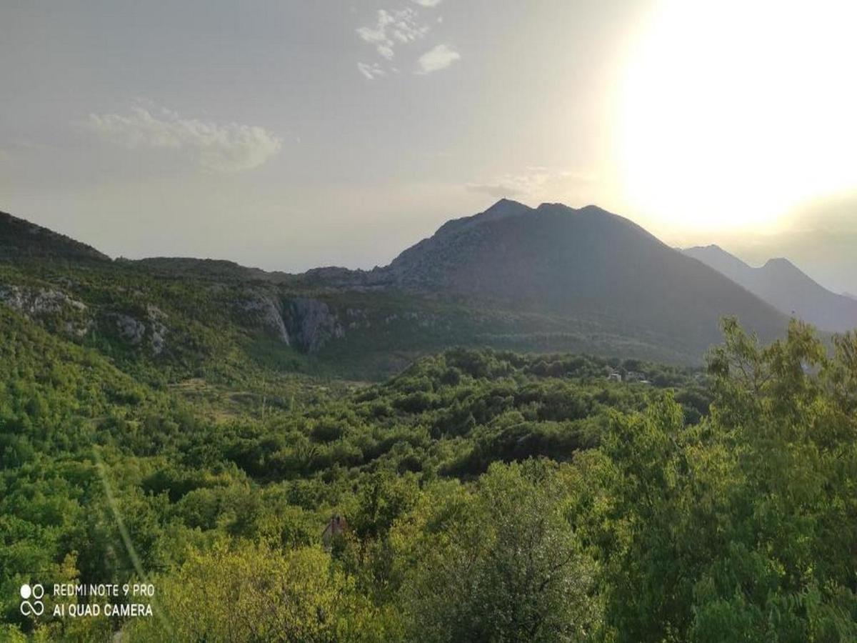 Holiday Home Carevic Gornja Brela Dış mekan fotoğraf